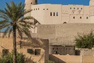 Nizwa Souq, Nizwa Fort, Bahla Fort & Jabrin Castle