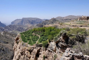 Tur fra Nizwa til Jabal Akhdar: Udforsk Omans forter og bjerge
