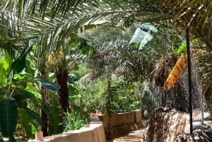 Oman: 4-dniowa wycieczka prywatna z przewodnikiem i transferami