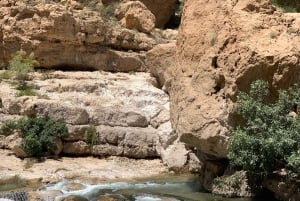 Oman: 4-dniowa wycieczka prywatna z przewodnikiem i transferami