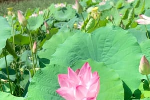 Oman: 4-dniowa wycieczka prywatna z przewodnikiem i transferami