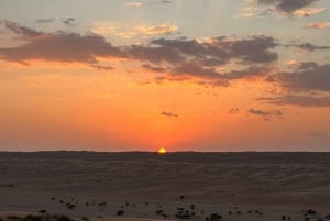 Oman: 4-dagers tur til Wadi, Sur, ørkenen, Nizwa og Muscat
