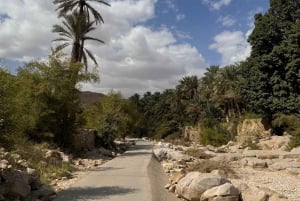 Oman: 4-dagers tur til Wadi, Sur, ørkenen, Nizwa og Muscat
