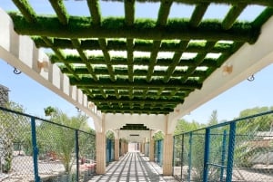 Oman: 5 päivän seikkailuretki linnoituksilla, basaarilla ja vuorilla