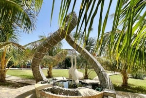 Oman: 5 päivän seikkailuretki linnoituksilla, basaarilla ja vuorilla