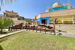 Oman: 5 päivän seikkailuretki linnoituksilla, basaarilla ja vuorilla