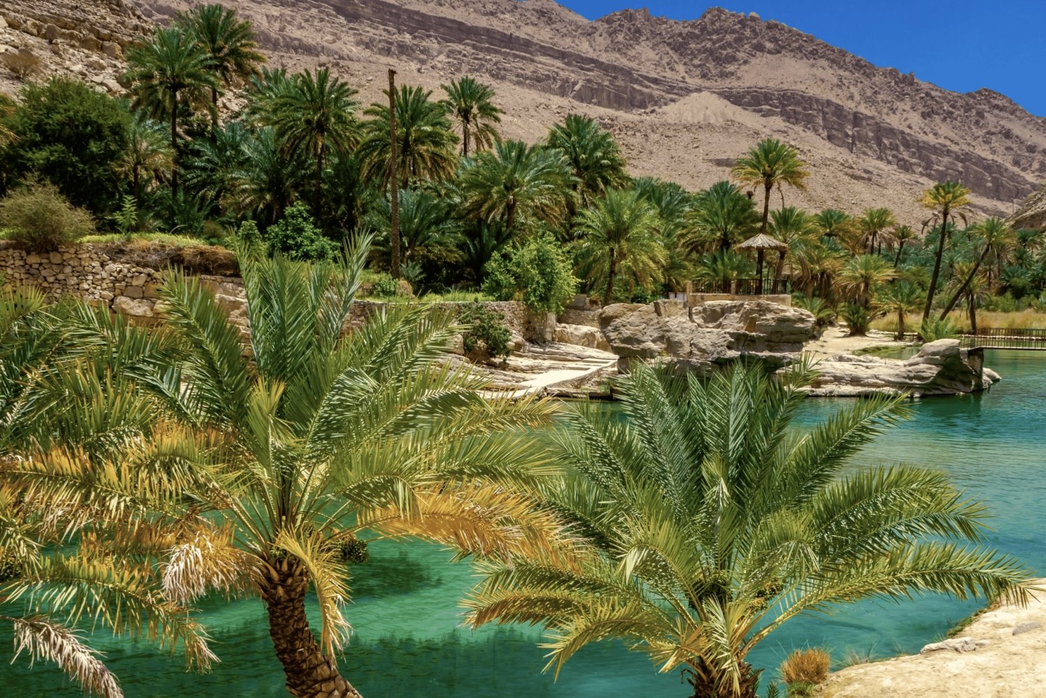 Incredible Oman: 5-Day Guided Tour