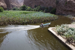 Incredible Oman: 5-Day Guided Tour