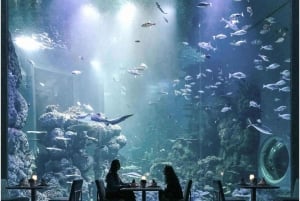 Muscat: Oman Aquarium Entry Ticket