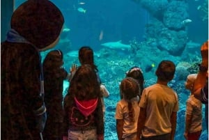 Muscat: Oman Aquarium Entry Ticket