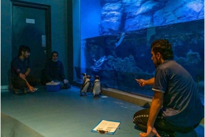 Muscat: Oman Aquarium Entry Ticket