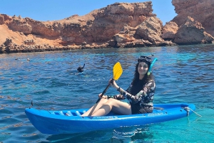 オマーン：デイマニヤット島スノーケリングツアー（装備付き）