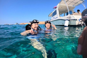 オマーン：デイマニヤット島スノーケリングツアー（装備付き）