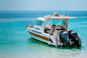 オマーン：デイマニヤット島スノーケリングツアー（装備付き）