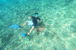 オマーン：デイマニヤット島スノーケリングツアー（装備付き）