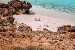 オマーン：デイマニヤット島スノーケリングツアー（装備付き）