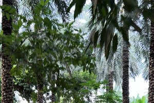 Oman: Desert Safari & Wadi Adventure Tour.