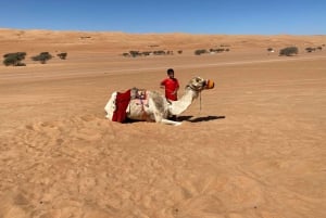 Oman: Desert Safari & Wadi Adventure Tour.