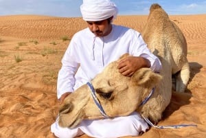 Oman: Desert Safari & Wadi Adventure Tour.