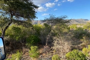 Oman: Desert Safari & Wadi Adventure Tour.