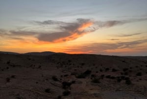 Oman: Desert Safari & Wadi Adventure Tour.