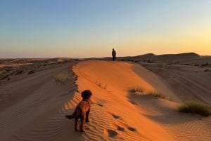 Oman: Desert Safari & Wadi Adventure Tour.