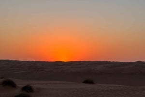 Oman: Desert Safari & Wadi Adventure Tour.