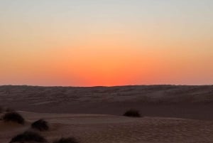 Oman: Desert Safari & Wadi Adventure Tour.