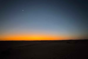 Oman: Desert Safari & Wadi Adventure Tour.