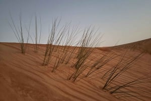 Oman: Desert Safari & Wadi Adventure Tour.