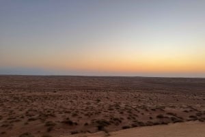 Oman: Desert Safari & Wadi Adventure Tour.