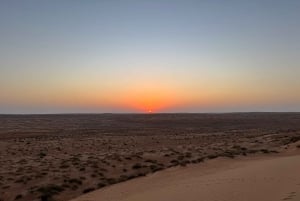 Oman: Desert Safari & Wadi Adventure Tour.