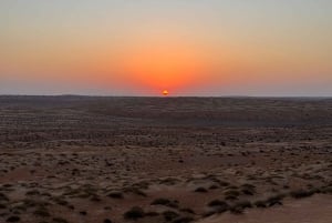 Oman: Desert Safari & Wadi Adventure Tour.