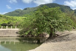 Oman: Desert Safari & Wadi Adventure Tour.