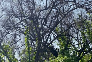 Oman: Desert Safari & Wadi Adventure Tour.