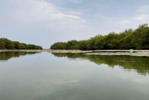 Oman: Desert Safari & Wadi Adventure Tour.