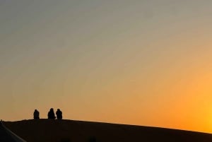 Oman: Desert Safari & Wadi Adventure Tour.