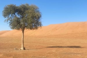 Oman: Desert Safari & Wadi Adventure Tour.