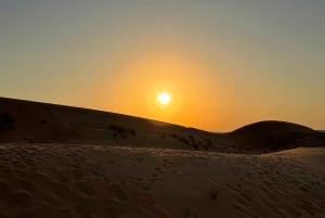 Oman: Desert Safari & Wadi Adventure Tour.
