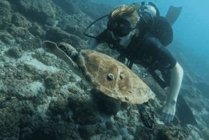 Oman: Discover Scuba Diving Experience