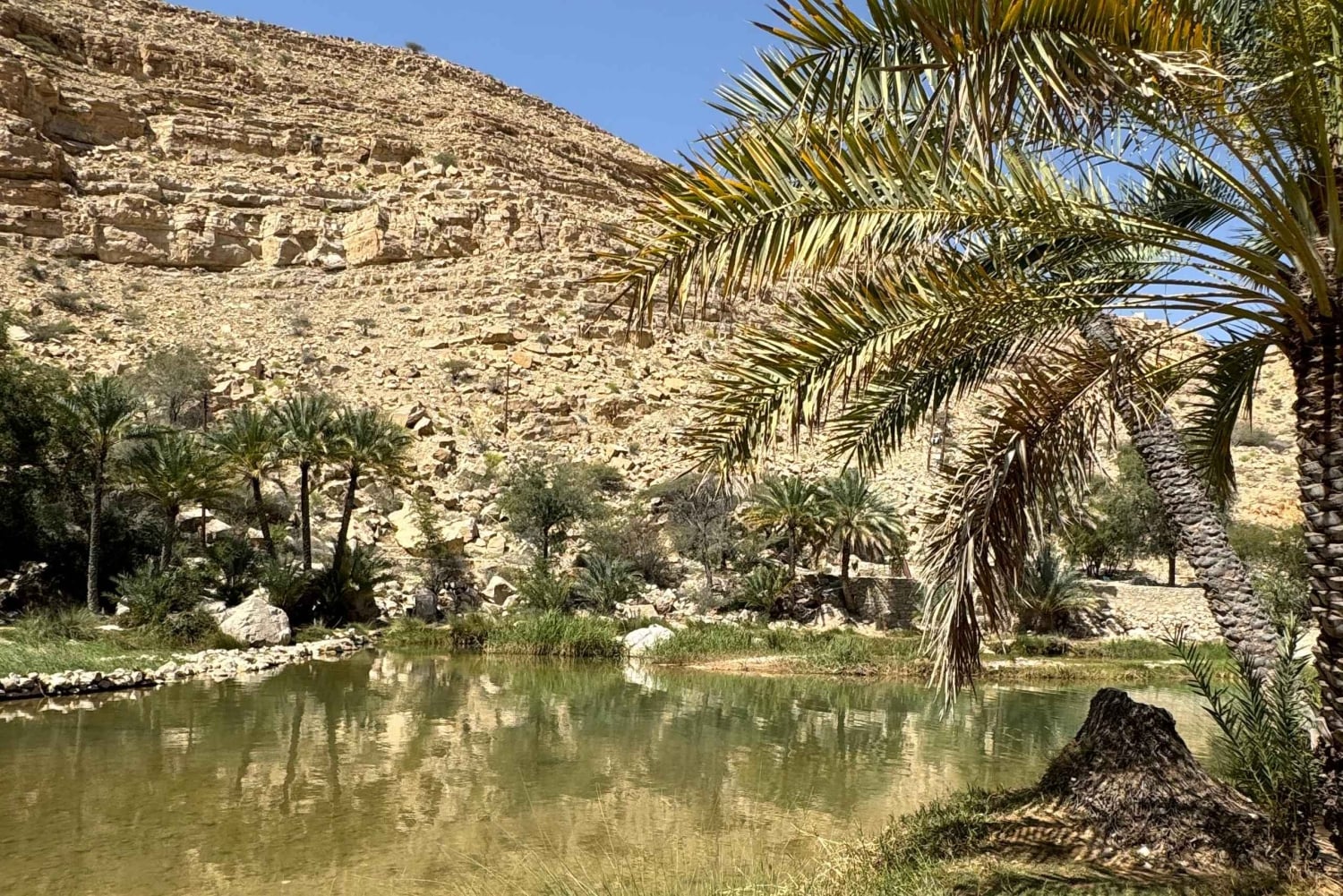 Oman: Gruppresa i öknen och Wadi Bani Khalid på fredag eller söndag