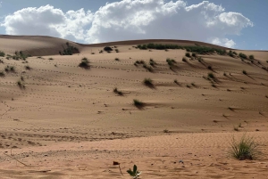 Oman: Gruppresa i öknen och Wadi Bani Khalid på fredag eller söndag
