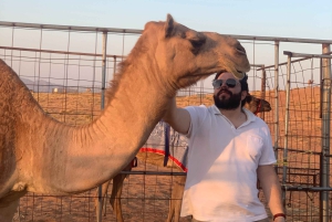 Oman: Gruppresa i öknen och Wadi Bani Khalid på fredag eller söndag