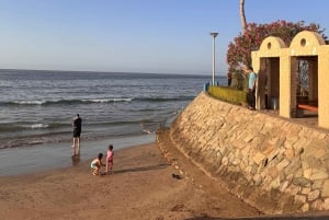 Oman: Gruppstadsvandring i Muscat med upphämtning och gratis lunch/middag