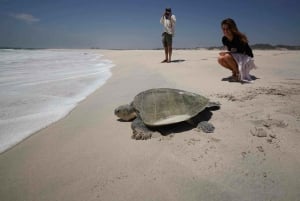 عُمان: جولة ياسمين | باقة جولة خاصة لمدة 3 أيام