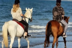 Horse riding on muscat beach