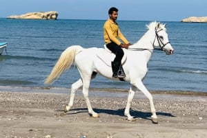 Horse riding on muscat beach