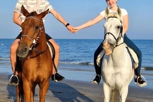 Horse riding on muscat beach