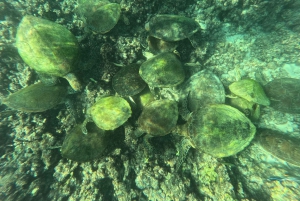 Oman Muscat: Snorkeling Adventure at Dimaniyat Islands