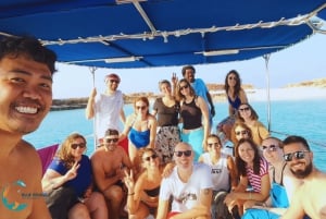 Oman Muscat: Snorkeling Adventure at Dimaniyat Islands